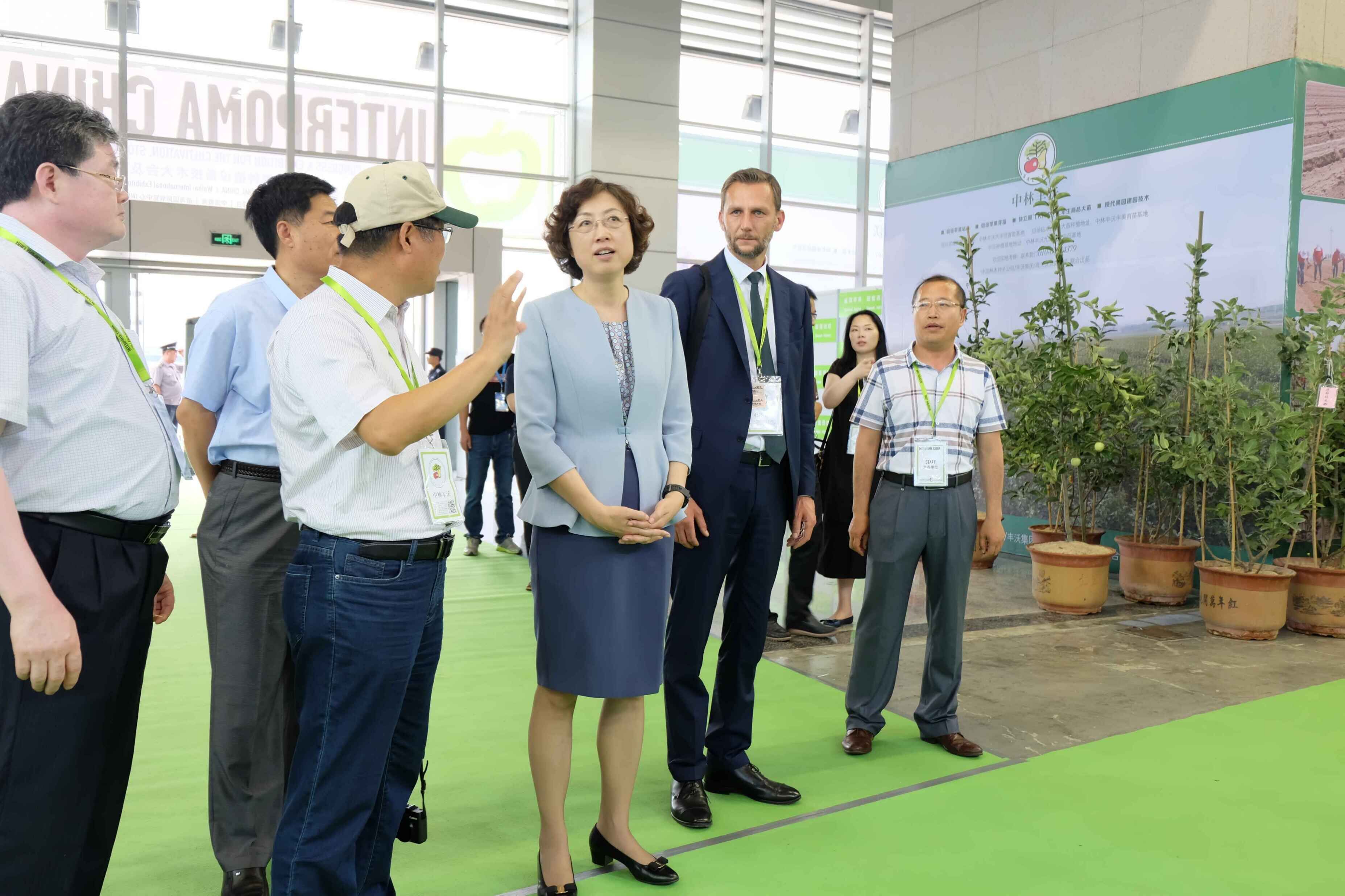 张惠参观2017年威海国际苹果种植设备技术展览会