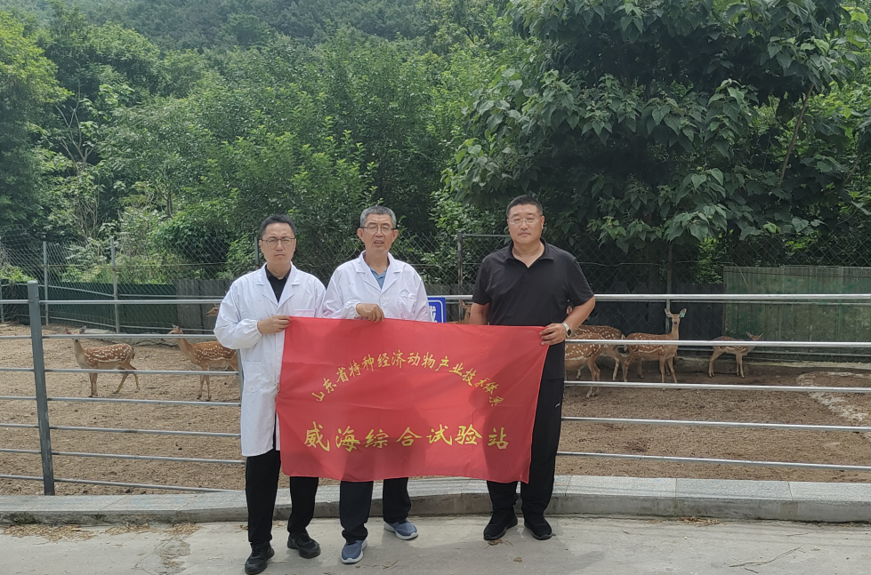 微信图片_20260805151045_311_31.png